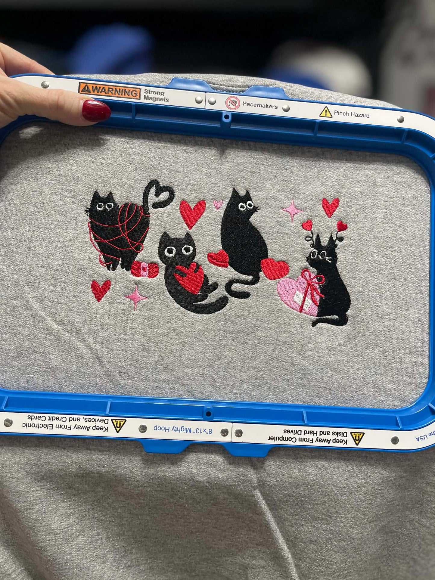 Valentine Cats