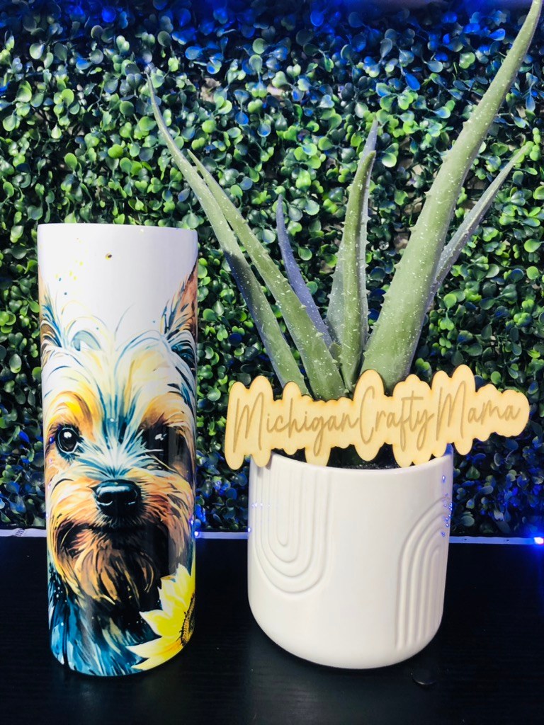 Yorkie