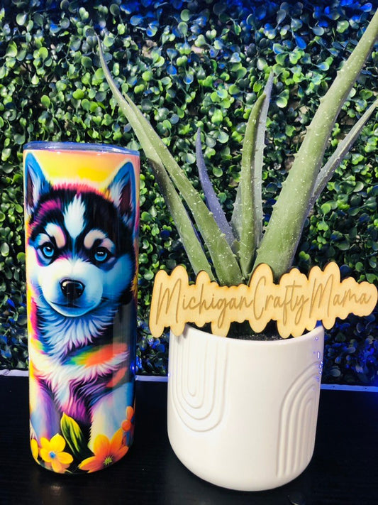 Colorful Husky