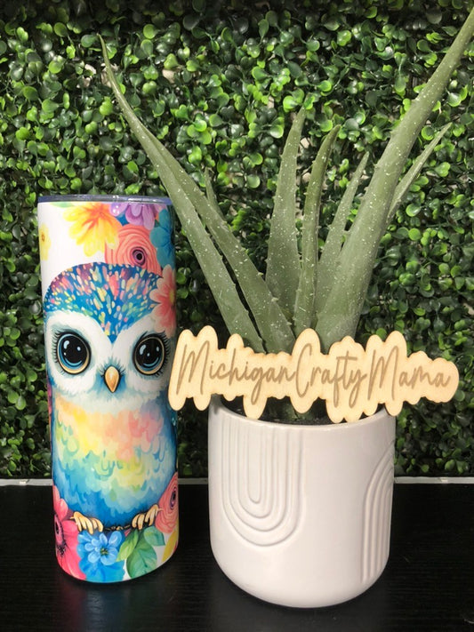 Colorful Owl