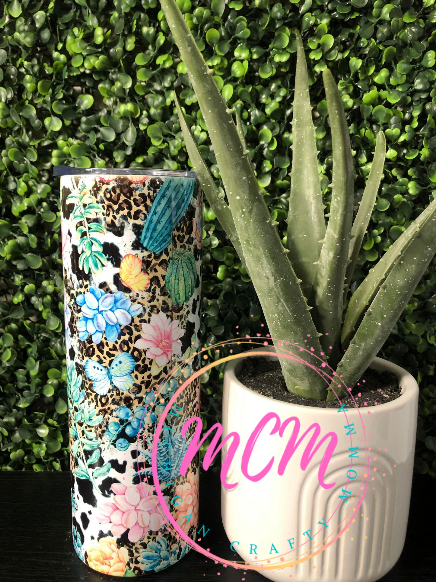 moo succulent